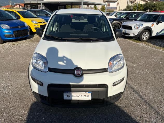 FIAT Panda 1.0 FireFly S&S Hybrid - Foto 2