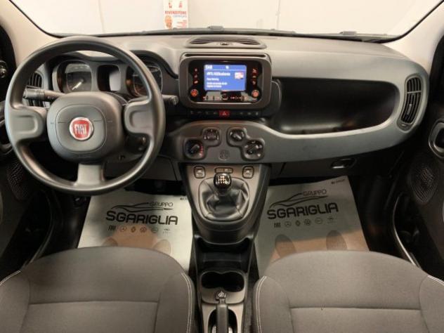FIAT Panda 1.0 Benzina Hybrid City Life rif. 24052147 - Foto 7