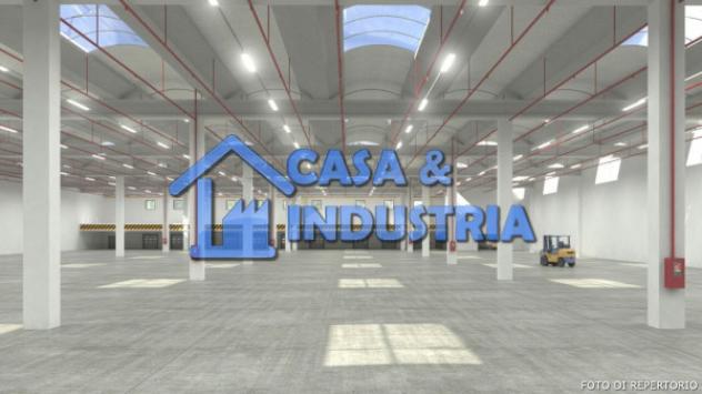 Immobile di 8000 m² con 1 locale in affitto a Arluno - Foto 11
