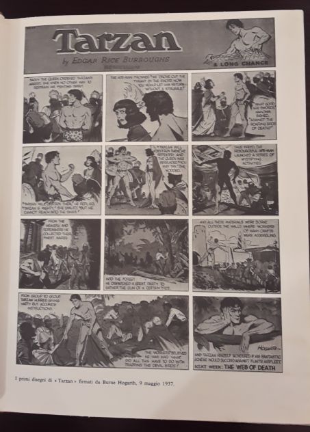 Tarzan DELLE SCIMMIE, Edgar Rice Burroughs, 1^ Edizione Mondadori 1973. - Foto 4