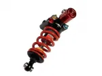 Ammortizzatore per Ducati Panigale V2 V4 Bitubo XXZ cartucce pressurizzate