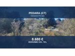 Immobile in asta di 1180 m² in vendita a Pedara