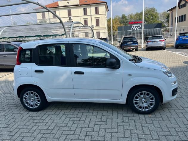 FIAT Panda Panda 1.0 firefly hybrid s&s Icon - Foto 6