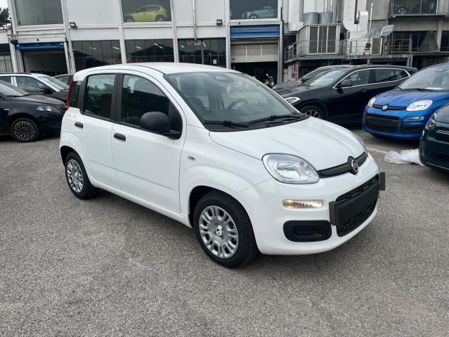 FIAT Pandina Pandina 1.0 firefly hybrid Icon s&s 65cv - Foto 3