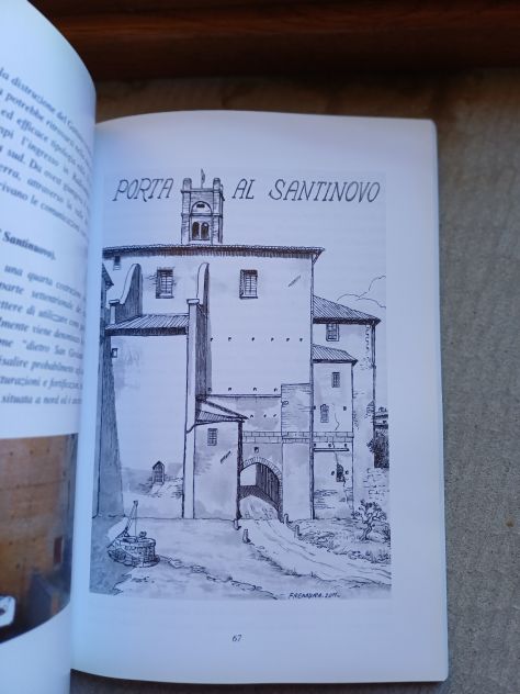 RADICONDOLI DALLE ORIGINI ALLE LEGGI LEOPOLDINE, PIERO PAZZAGLI, 2011. - Foto 6