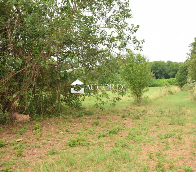 AREA EDIFICABILE di 2000 mq (GIAVERA DEL MONTELLO) rif. ZT57_8 - Foto 11