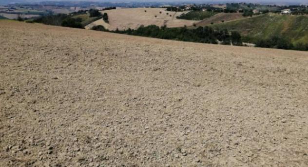 Immobile in asta di 27880 m² in vendita a Montegiorgio - Foto 2