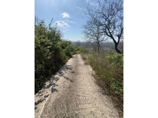 Agricolo in Via Provinciale Per Castello - Foto 7