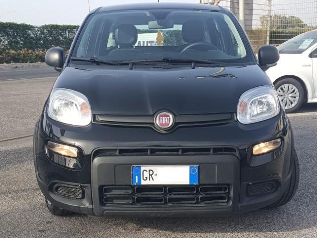 FIAT Panda 1.0 FireFly Hybrid ANDROID/CARP UNIPROPRIETARIO!! rif. 23937447 - Foto 3