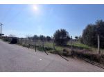 Terreno di 4990 m² in vendita a Frascati