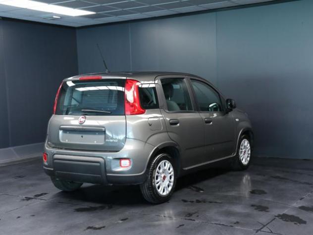 FIAT Panda 1.0 FireFly S&S Hybrid rif. 23817010 - Foto 3