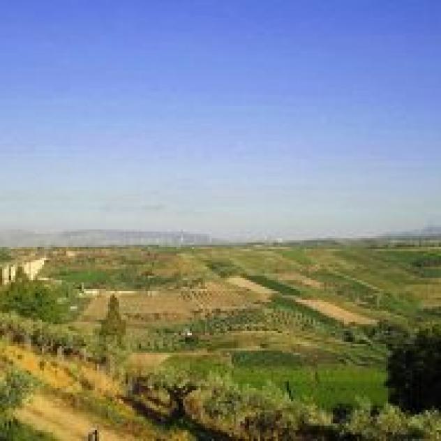 Agriturismo Dimina - Foto 3