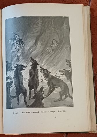 I naufraghi dello Spitzberg, E. Salgari, Ed. Sonzogno 1929. - Foto 7