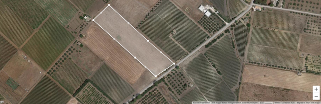 SICILIA VENDITA TERRENO CONTRADA BELICE DI MARE - Foto 4