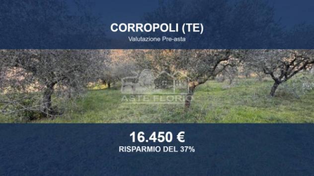 Immobile in asta di 4660 m² in vendita a Corropoli