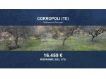 Immobile in asta di 4660 m² in vendita a Corropoli