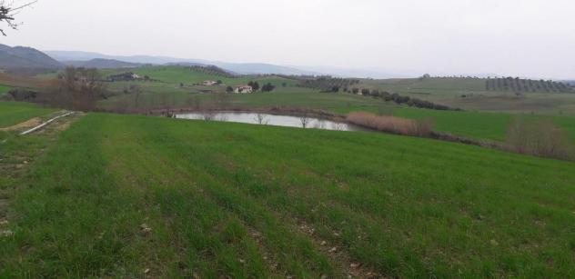 Rustico in vendita a Manciano 800 mq Rif: 1035606