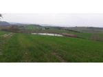Rustico in vendita a Manciano 800 mq  Rif: 1035606