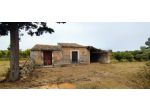 Agricolo in vendita a Noto