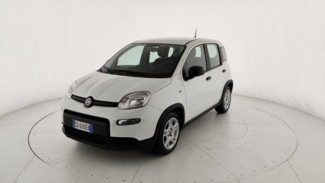 FIAT Panda 1.0 FireFly S&S Hybrid rif. 24094866 - Foto 3