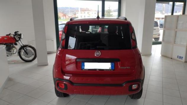 FIAT Panda Cross 1.0 FireFly S&S Hybrid - Foto 5