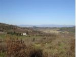 AREA EDIFICABILE di 900 mq (CASTELFIORENTINO) rif. C 123