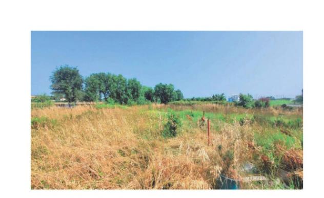 Immobile in asta di 595 m² in vendita a Porto Recanati - Foto 3