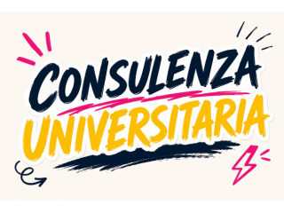 Supporto tesi (dal 2013)