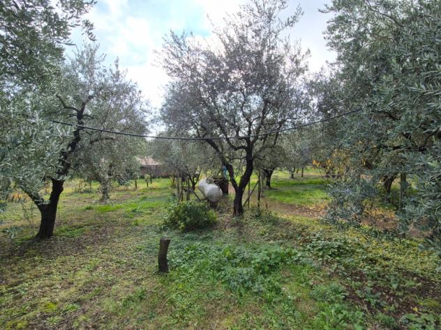 Villa in Via di Contrada Comune - Foto 17