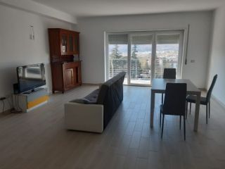 Cerchi una casa nuova, luminosa e vicina all'università?