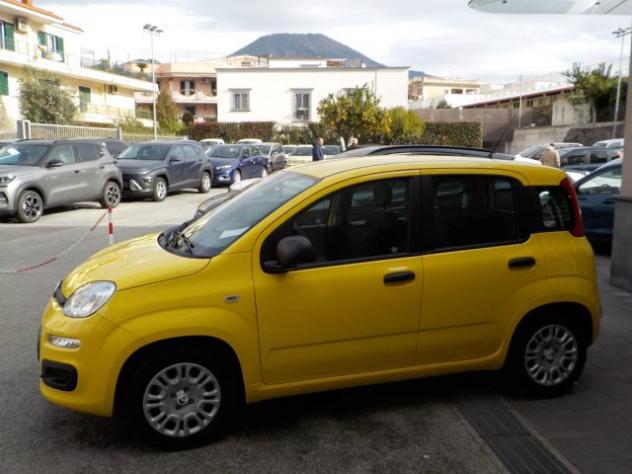 FIAT Panda MY25 - 1.0 FireFly Hybrid POP rif. 21599367 - Foto 10