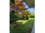 Appartamento in vendita a Ronchi - Massa 95 mq  Rif: 1455313