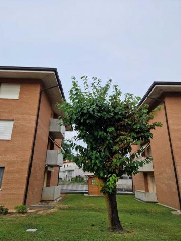 Appartamento in Piazza Rovereto