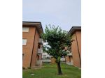 Appartamento in Piazza Rovereto