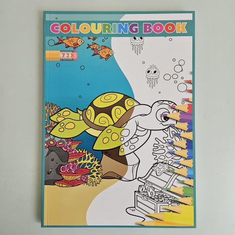 Libro da Colorare, Colouring Book - Tartaruga A4 - 2026 - TRACCIATA!! - Foto 7