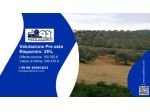 Immobile in asta di 49680 m² in vendita a Pianella