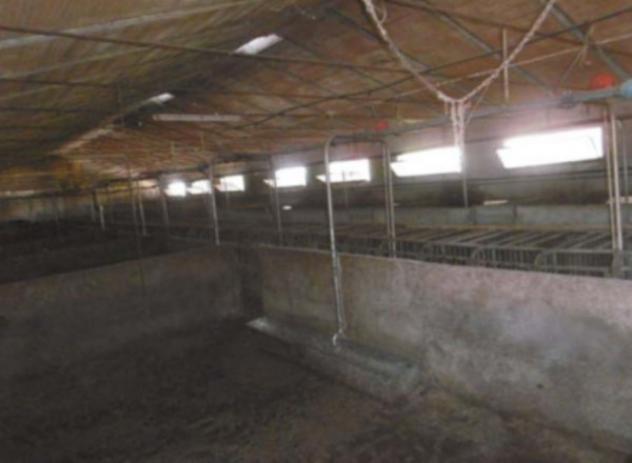Immobile in asta di 2 m² con più di 5 locali in vendita a Isorella - Foto 6