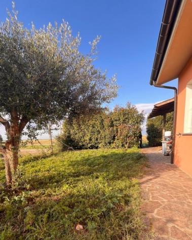 Villetta a schiera in affitto a Coltano - Pisa 80 mq Rif: 1361592