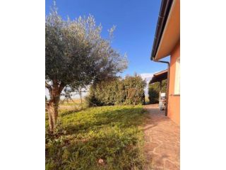 Villetta a schiera in affitto a Coltano - Pisa 80 mq Rif: 1361592
