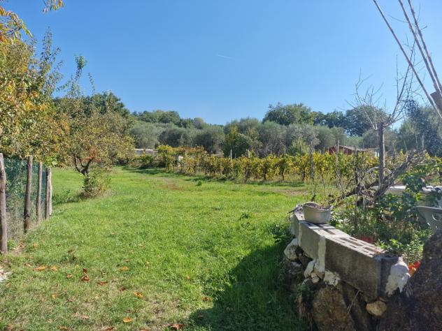 Casale in vendita a Amelia - Foto 15