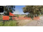 POMEZIA M.PESCATORE S. PANCRAZIO TERRENO AGRICOLO 1000 MQ