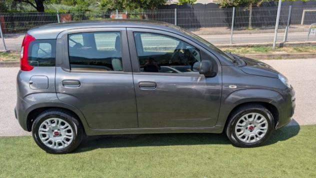 FIAT Panda 1.2 Easy rif. 24013768 - Foto 7
