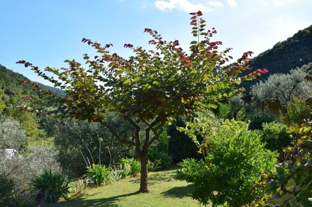 Villa in vendita a Albisola Superiore - Foto 16