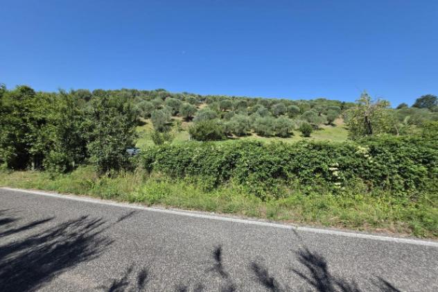 Terreno di 12000 m² in vendita a Guidonia Montecelio - Foto 2
