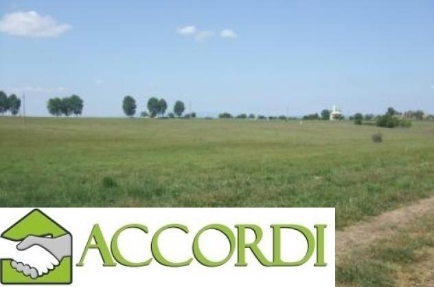 TERRENO AGRICOLO di 2353 mq (VOLPAGO DEL MONTELLO) rif. AT45A_7