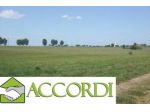 TERRENO AGRICOLO di 2353 mq (VOLPAGO DEL MONTELLO) rif. AT45A_7