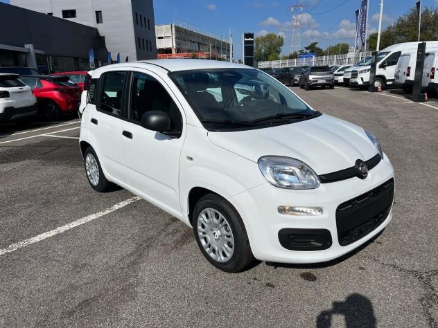 FIAT Pandina Pandina 1.0 firefly hybrid Icon s&s 65cv - Foto 3