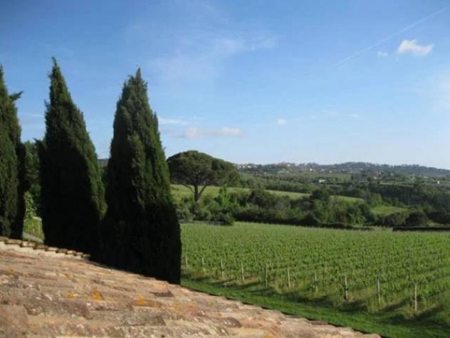 Immobile in asta di 1404 m² in vendita a Grottaferrata - Foto 10