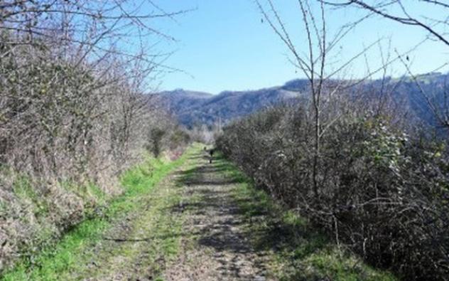 Immobile in asta di 237 m², box auto doppio in vendita a Pianoro - Foto 12