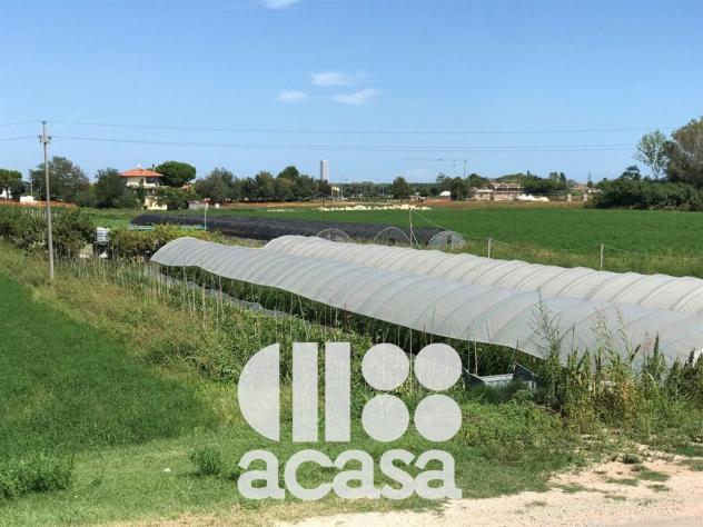 TERRENO AGRICOLO CON POZZO ARTESIANO - Foto 3